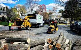 Best Commercial Tree Services  in Kirbyville, TX